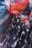 Rochie midi din organza multicolora